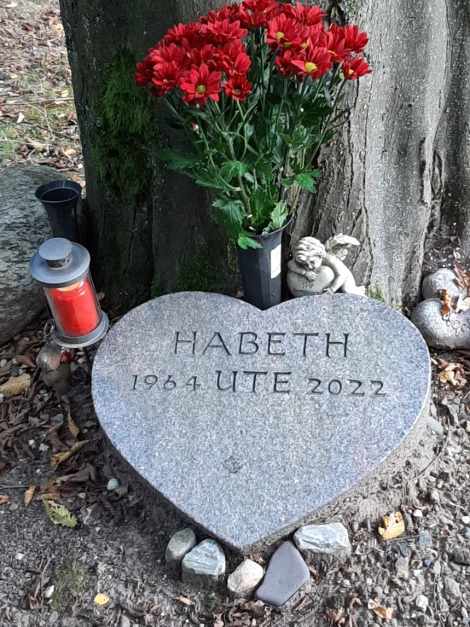 Nur noch wenige Minuten und dann fehlst du schon zwei Jahre. Der alte Mann und die Cats von der Rosenburg vermissen dich sehr